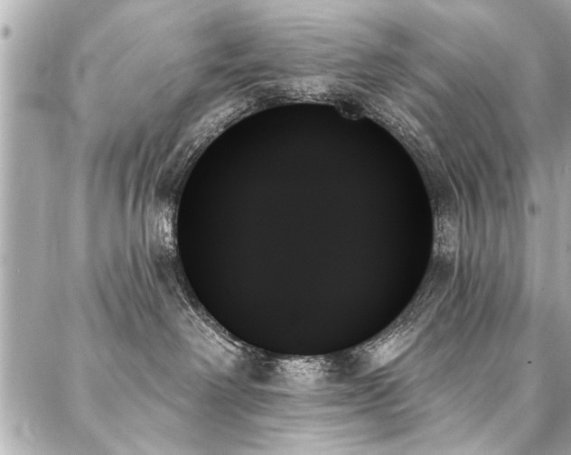 X0000088060238200705111341