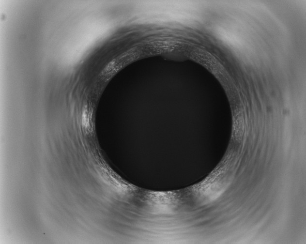 X0000088060239200705111341