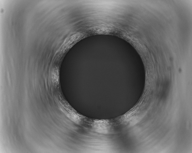 X0000088060240200705111341