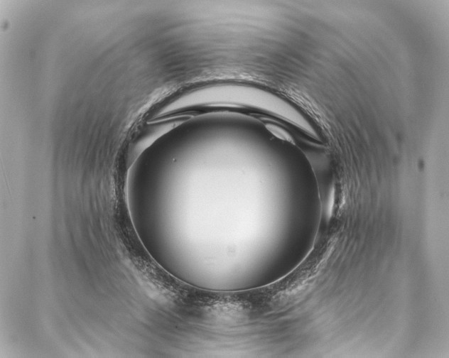 X0000088060256200705111340