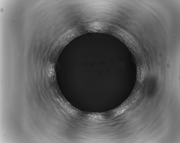 X0000088060284200705111341