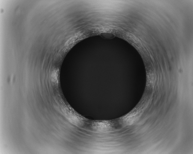 X0000088060286200705111341