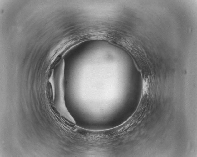 X0000088060291200705111340