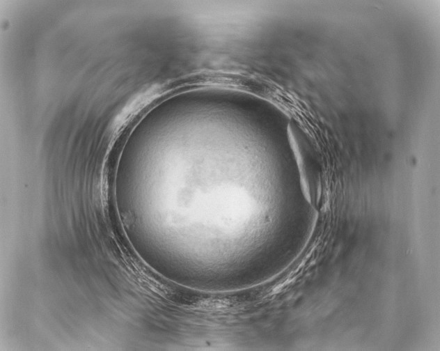 X0000088060294200705111340