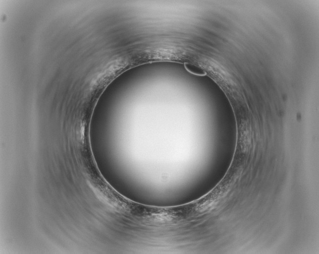 X0000088060310200705111340