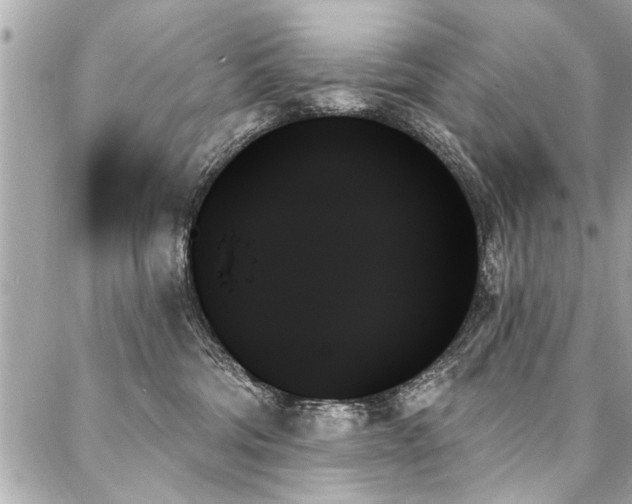 X0000088060330200705111339