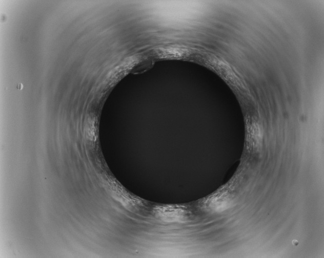 X0000088060331200705111339