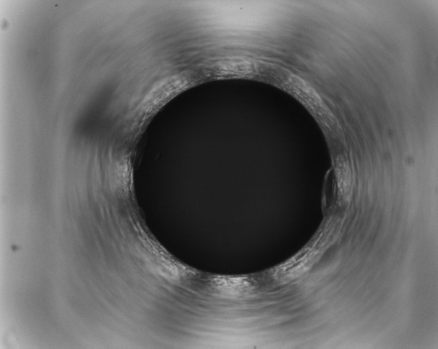 X0000088060333200705111339