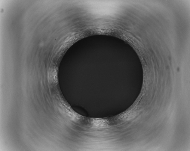 X0000088060336200705111339