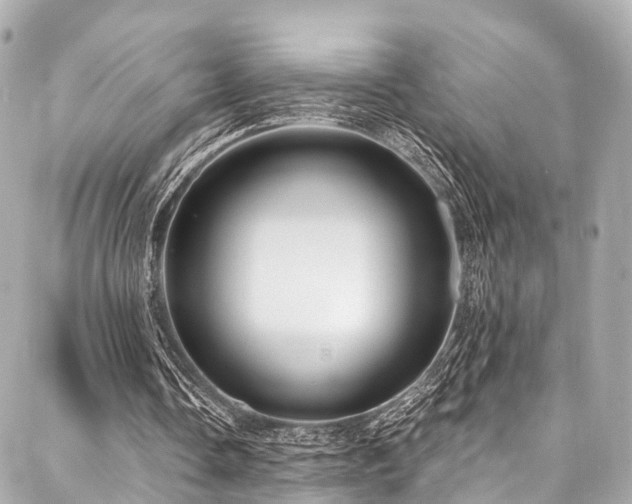 X0000088060338200705111338
