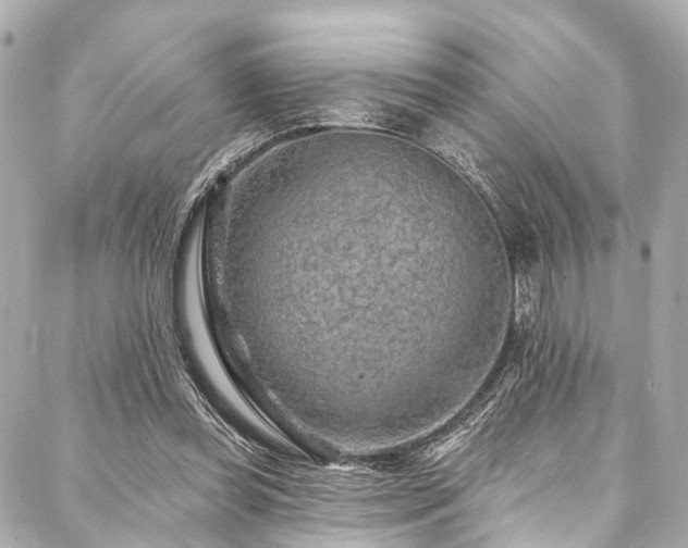 X0000088060349200705111339