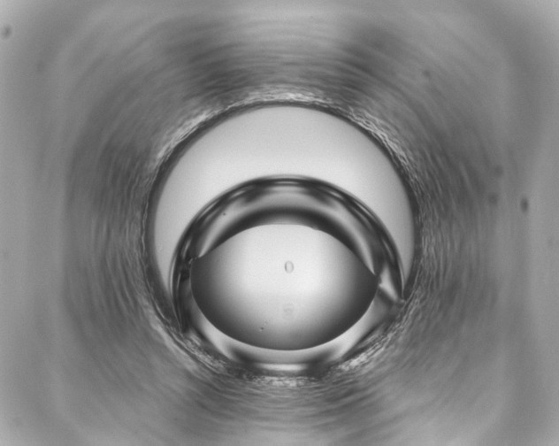 X0000088060352200705111339