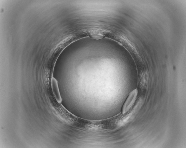 X0000088060356200705111339