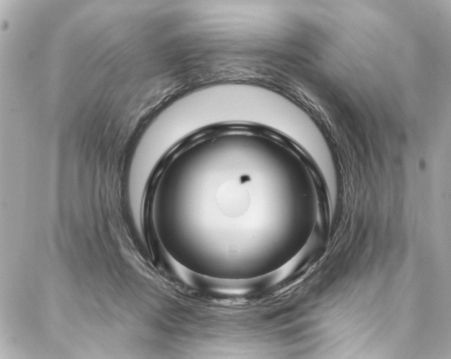 X0000088060362200705111339