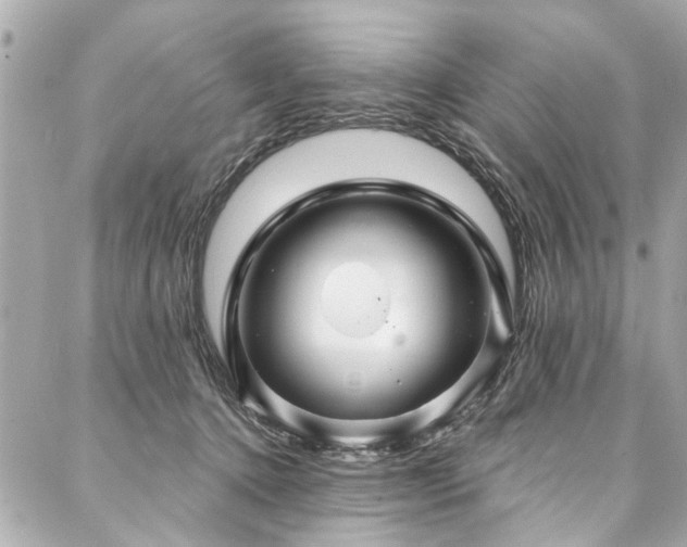 X0000088060368200705111339