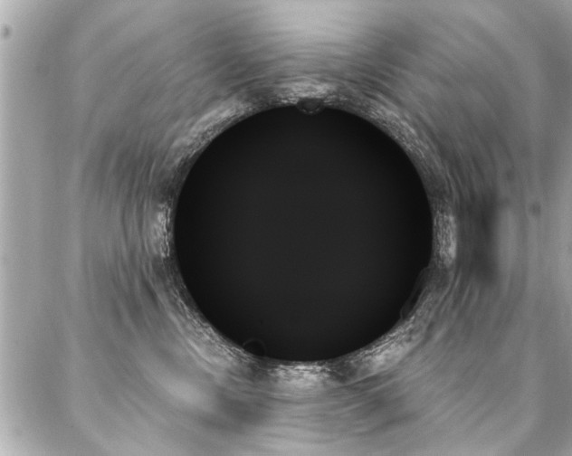 X0000088060378200705111339