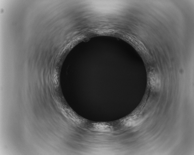 X0000088060380200705111339