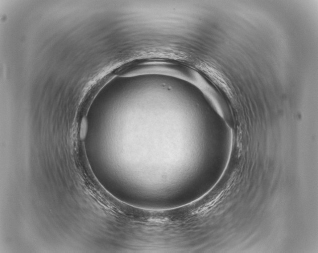 X0000088060388200705111338