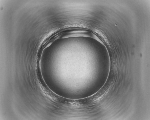 X0000088060395200705111338