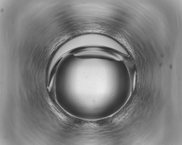 X0000088060397200705111338