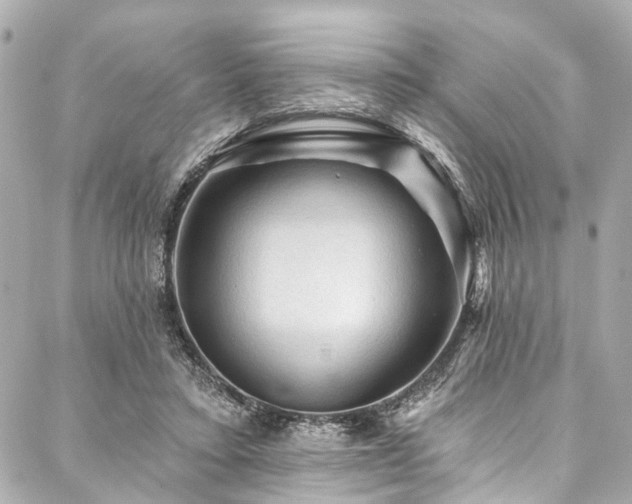 X0000088060403200705111338