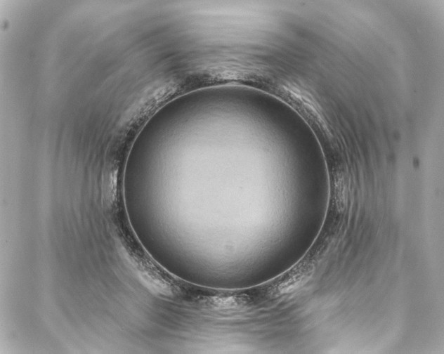 X0000088060406200705111338