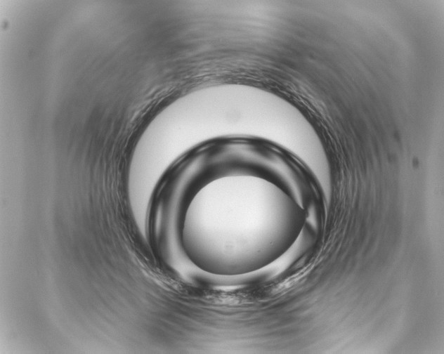 X0000088060412200705111338