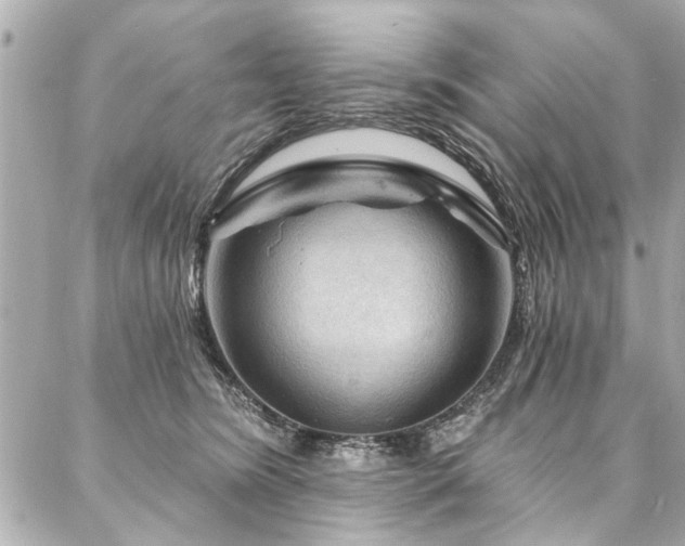 X0000088060420200705111338