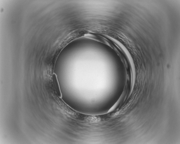 X0000088060421200705111338