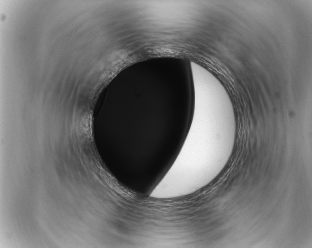 X0000088060425200705111338