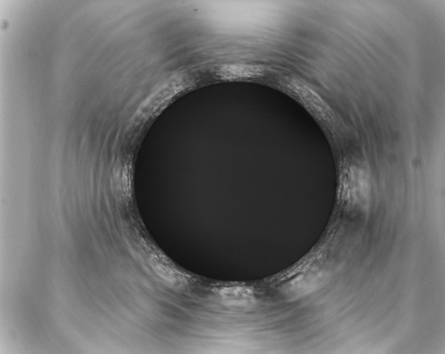 X0000088060426200705111338