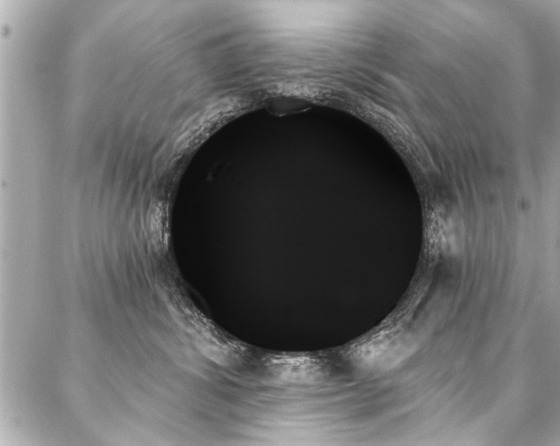 X0000088060428200705111338