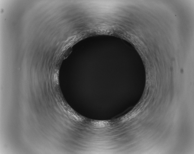 X0000088060432200705111338
