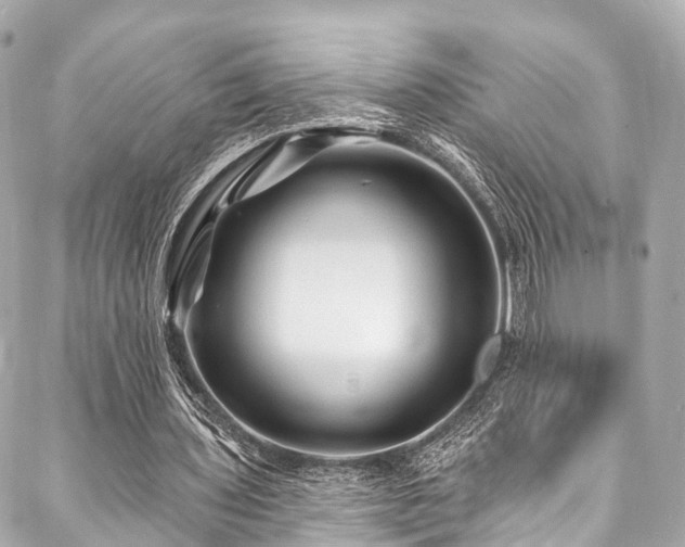X0000088060435200705111337
