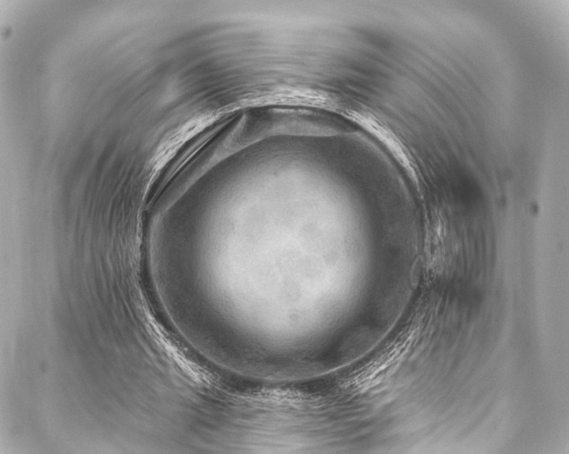 X0000088060437200705111337