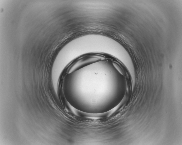 X0000088060456200705111337