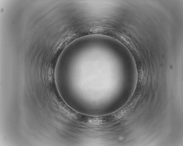 X0000088060470200705111337