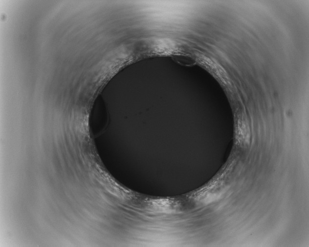 X0000088060473200705111337