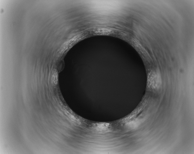 X0000088060474200705111337