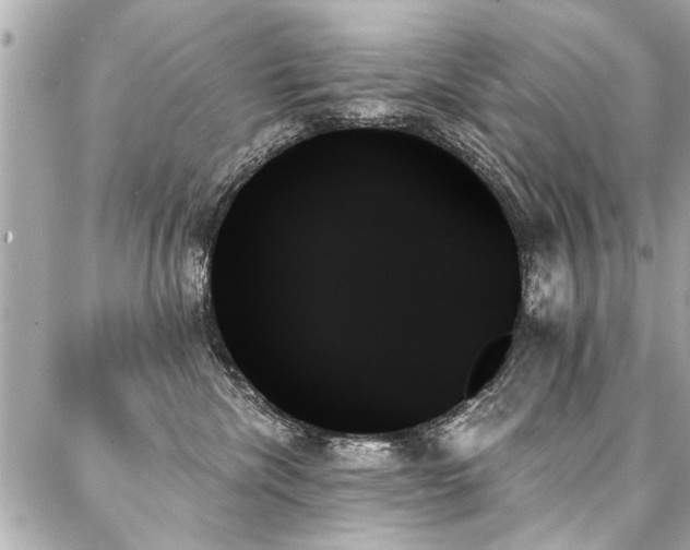X0000088060476200705111337