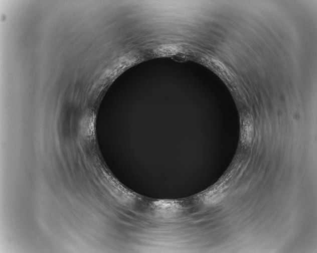 X0000088060477200705111337
