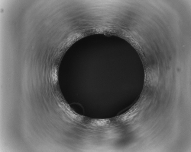X0000088060479200705111337