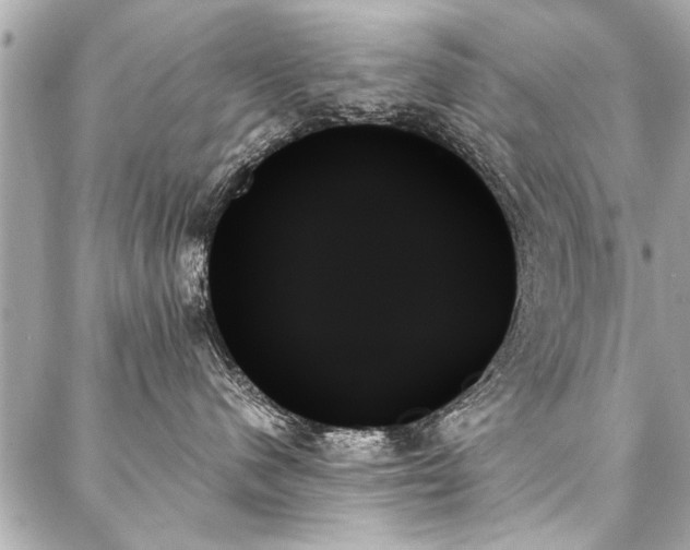 X0000088060480200705111338