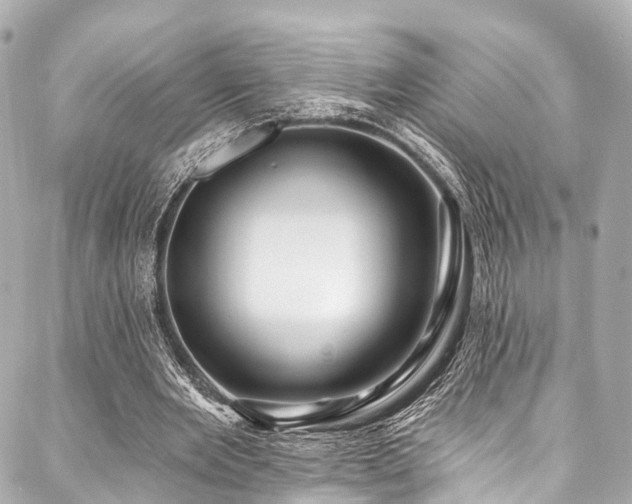 X0000088060485200705111337
