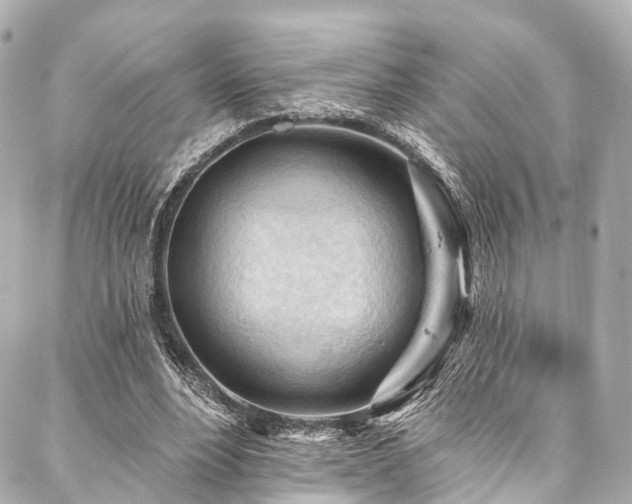 X0000088060488200705111337