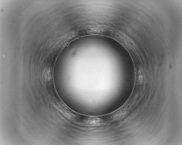 X0000088060514200705111336