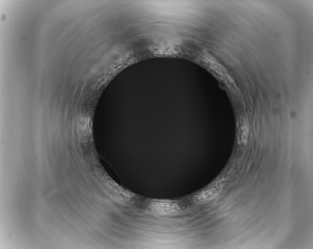 X0000088060521200705111336