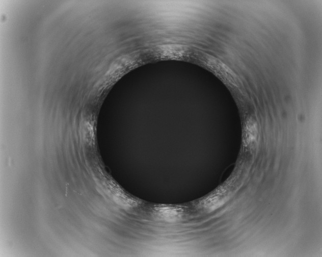 X0000088060522200705111336