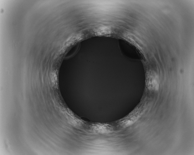 X0000088060523200705111336