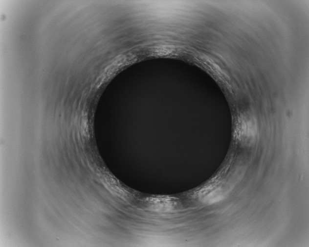 X0000088060524200705111336
